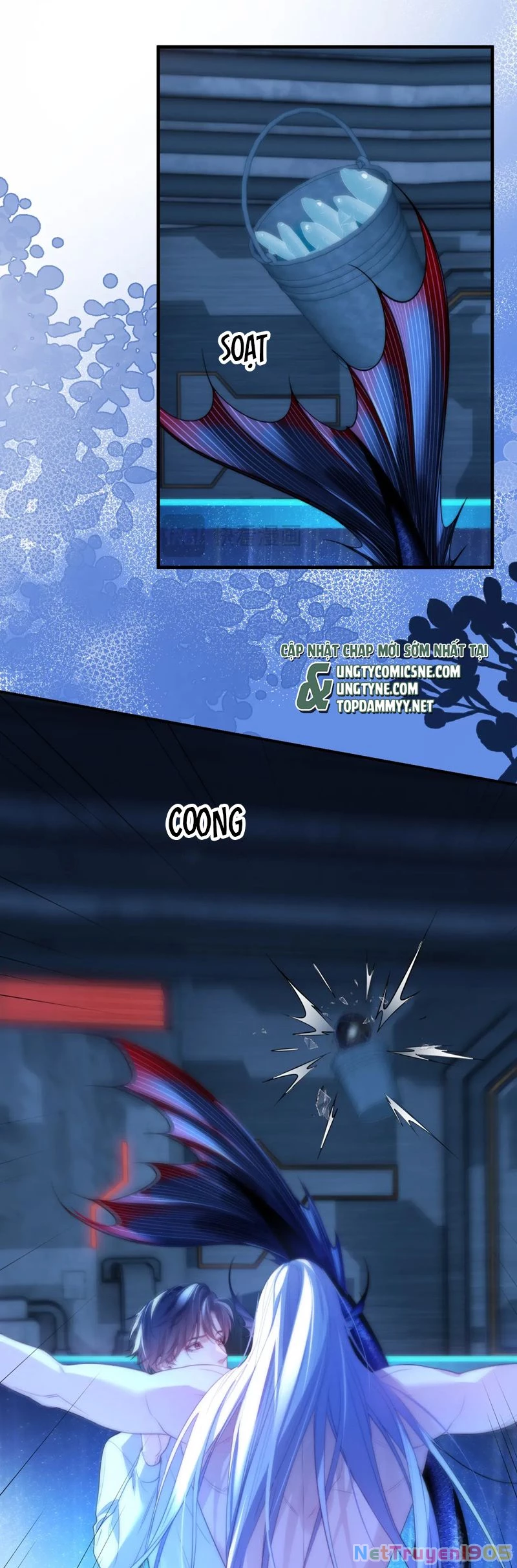 Desharow Nhân Ngư Chapter 75 - 5