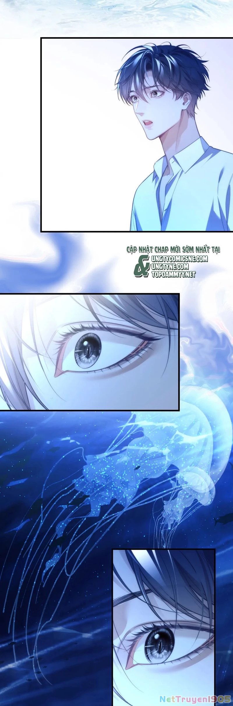 Desharow Nhân Ngư Chapter 75 - 11