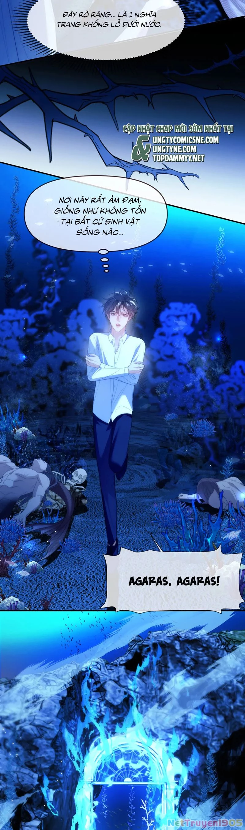 Desharow Nhân Ngư Chapter 75 - 15