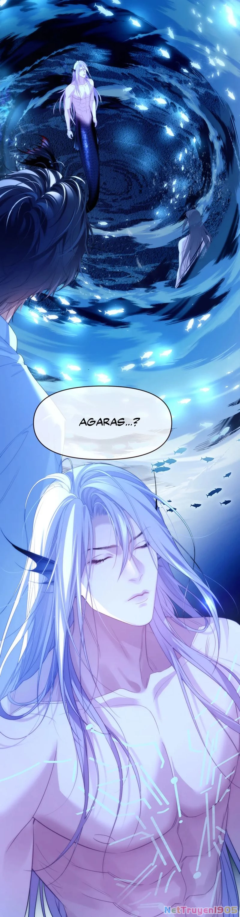 Desharow Nhân Ngư Chapter 75 - 17