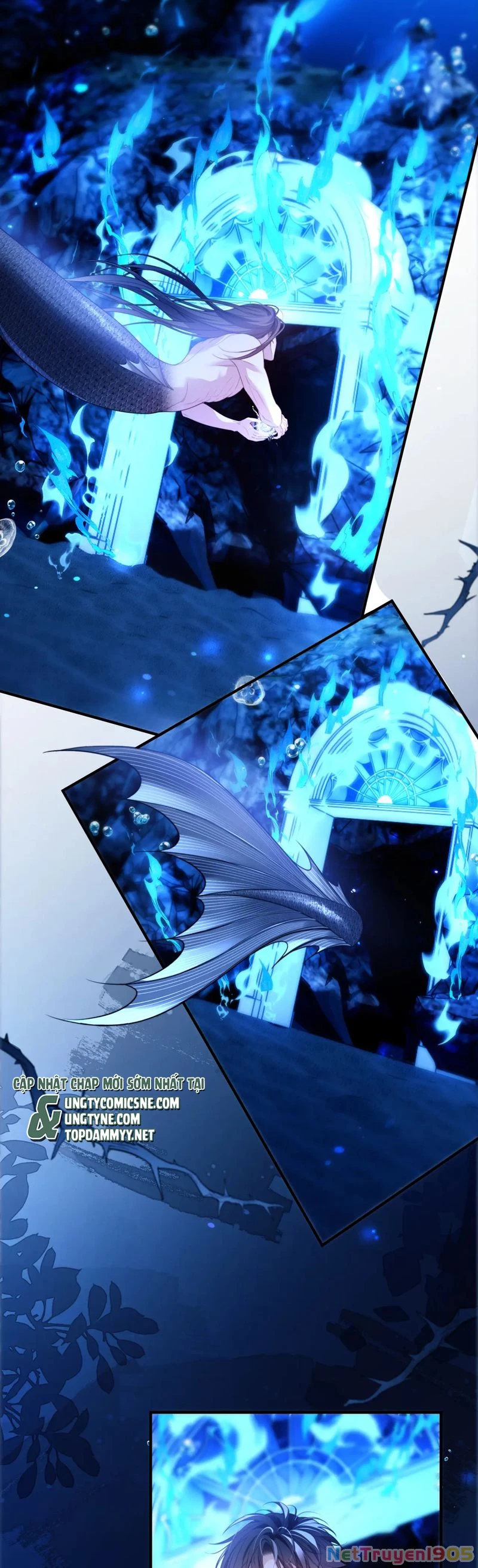 Desharow Nhân Ngư Chapter 76 - 4