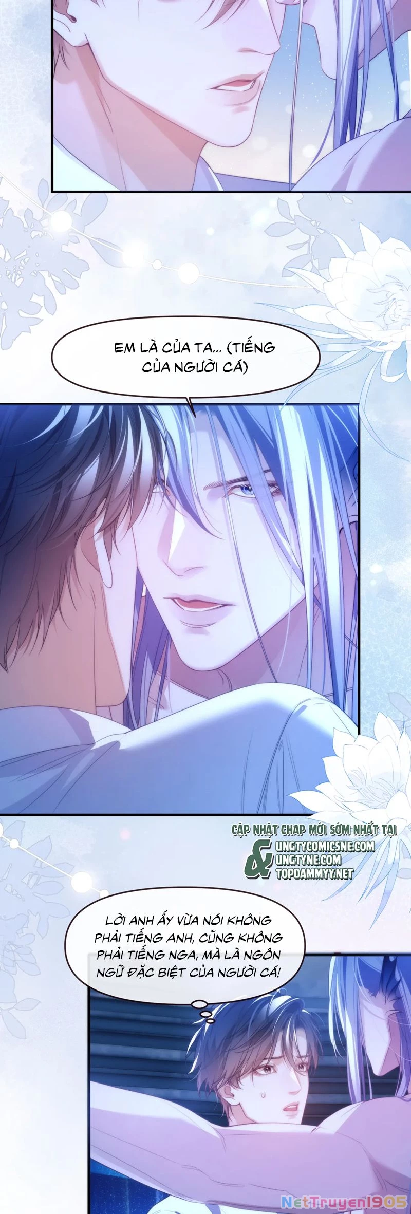 Desharow Nhân Ngư Chapter 77 - 16