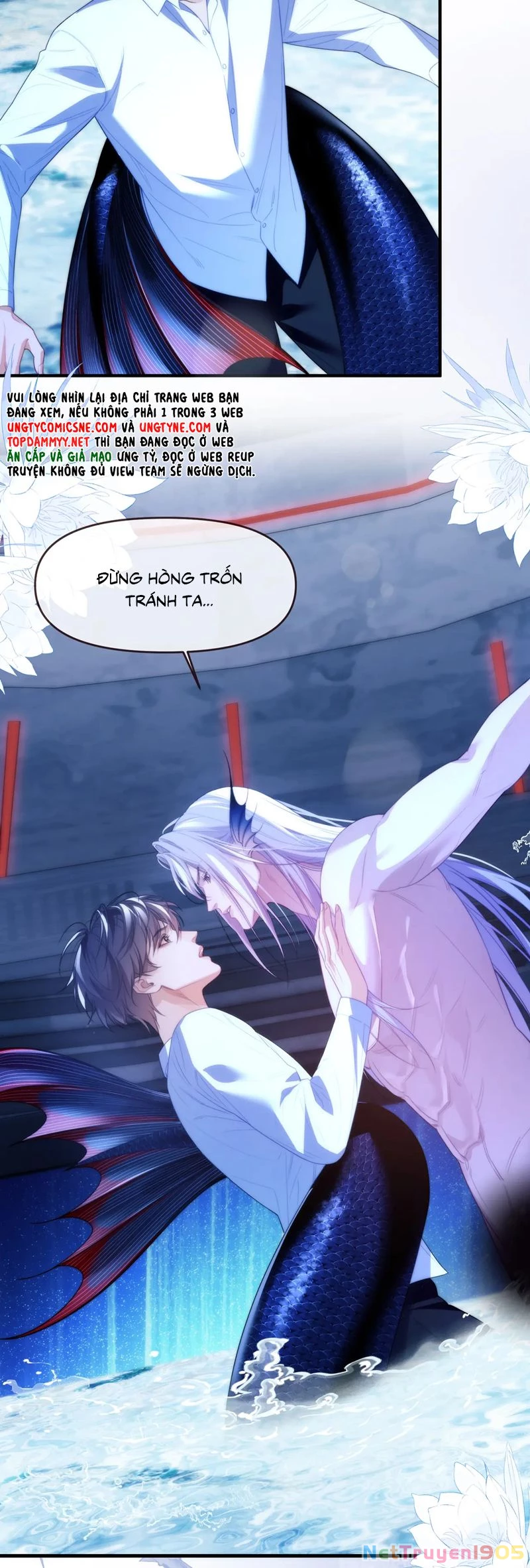 Desharow Nhân Ngư Chapter 77 - 18