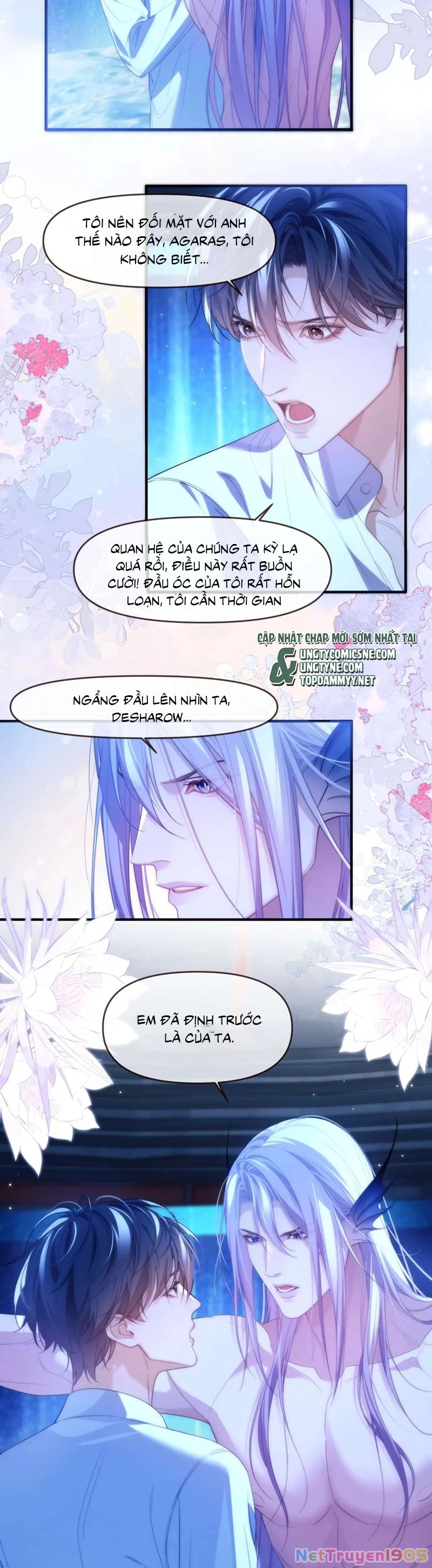 Desharow Nhân Ngư Chapter 78 - 2