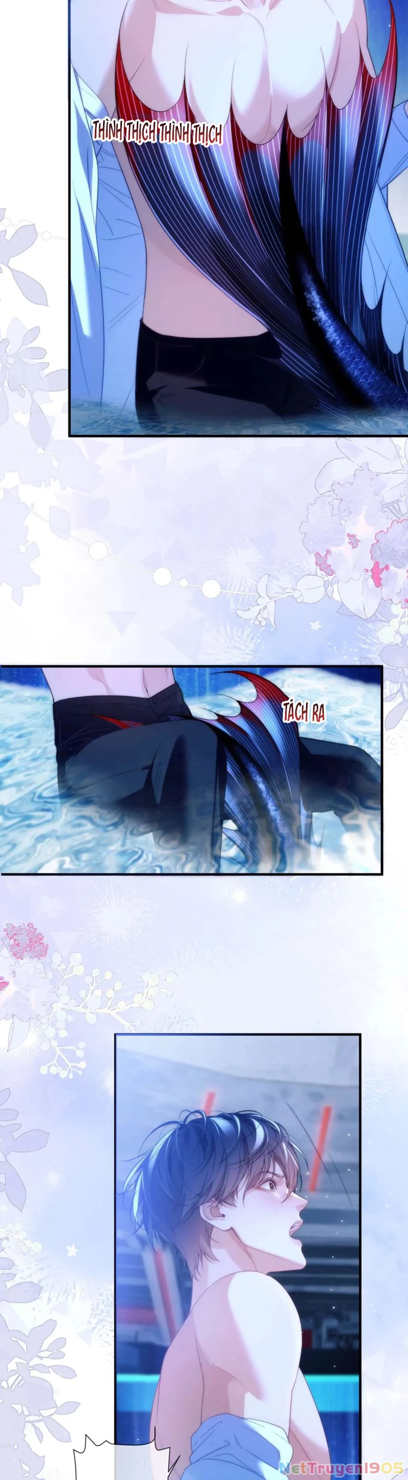 Desharow Nhân Ngư Chapter 78 - 4