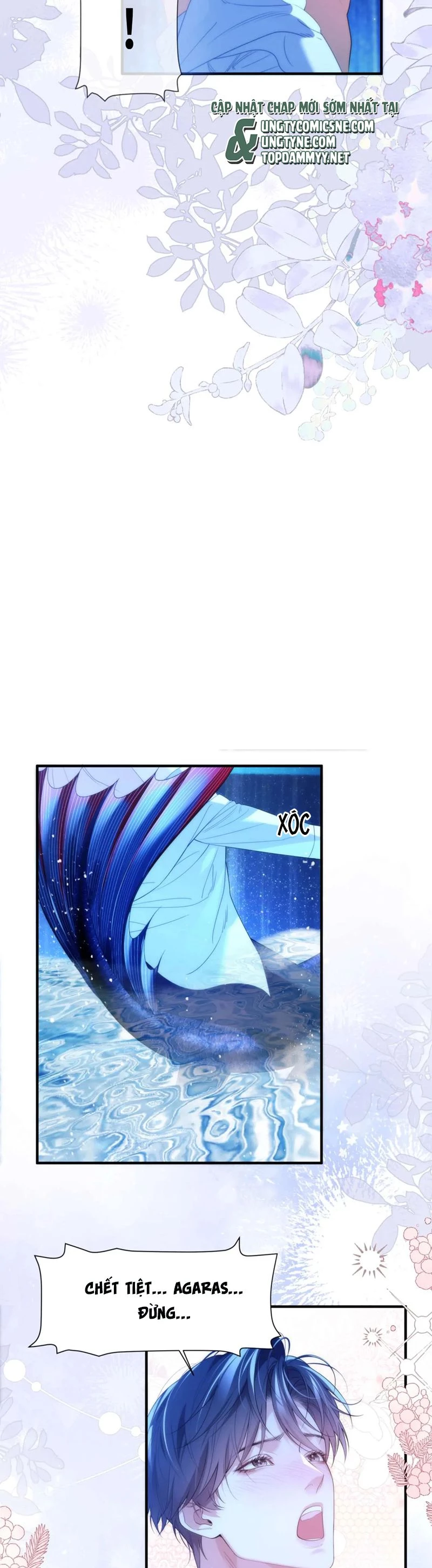 Desharow Nhân Ngư Chapter 78 - 5