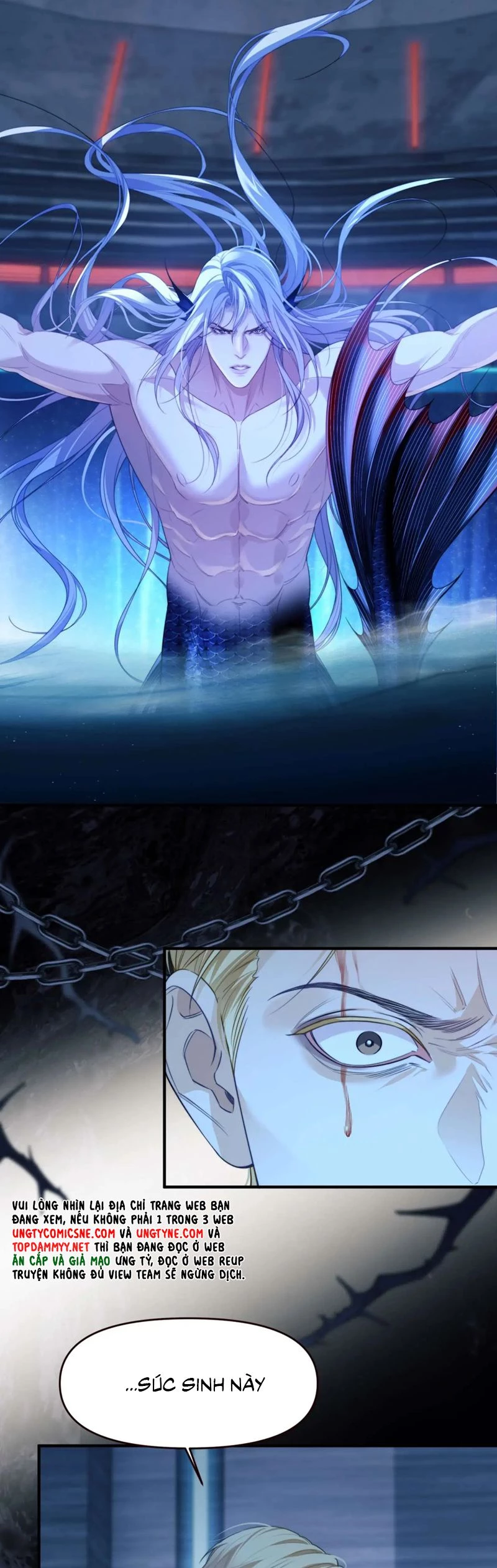 Desharow Nhân Ngư Chapter 78 - 14