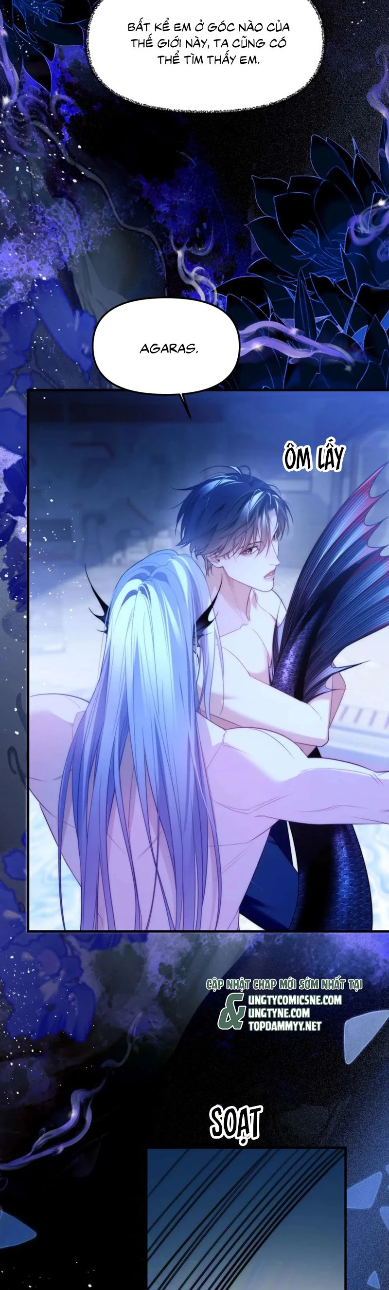 Desharow Nhân Ngư Chapter 79 - 7