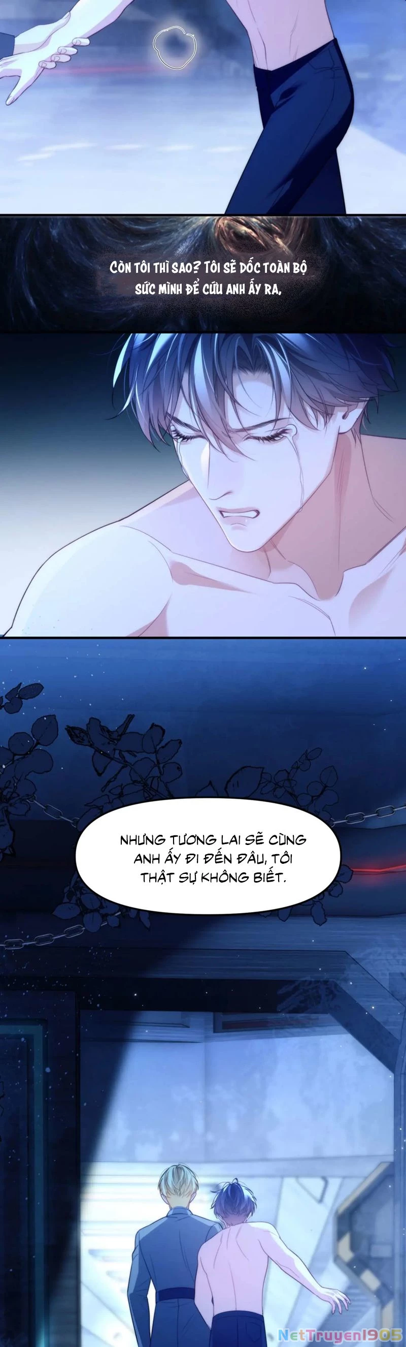 Desharow Nhân Ngư Chapter 79 - 11