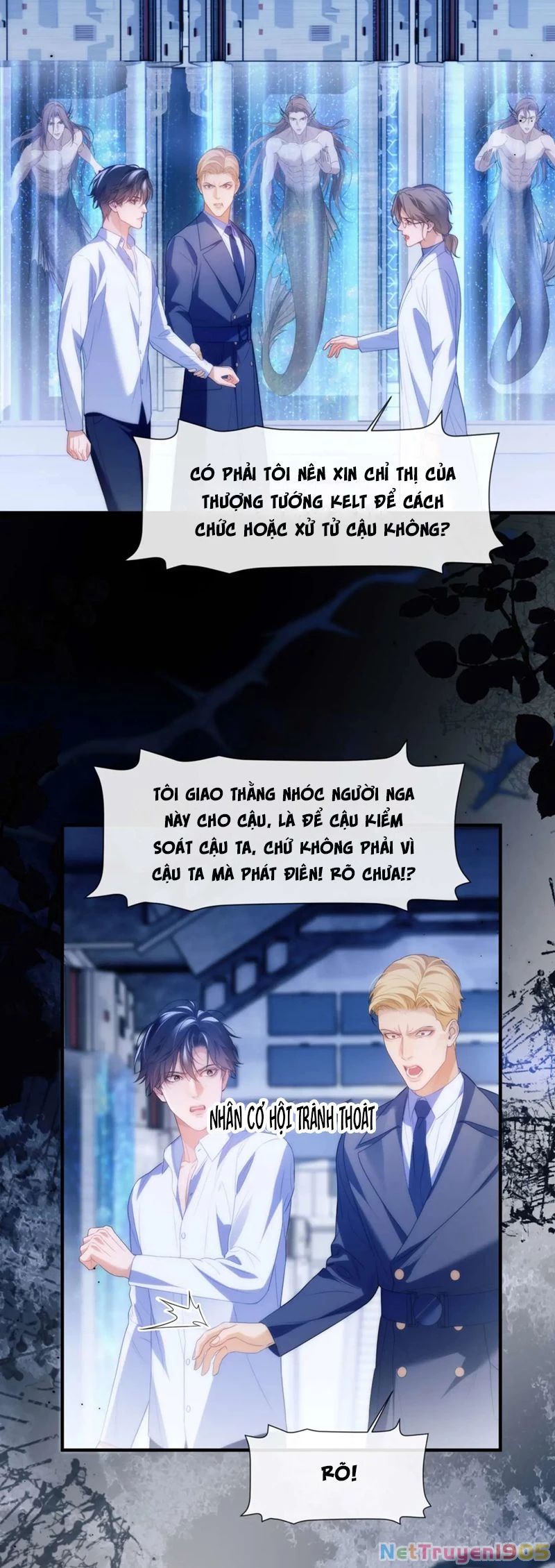 Desharow Nhân Ngư Chapter 79 - 13