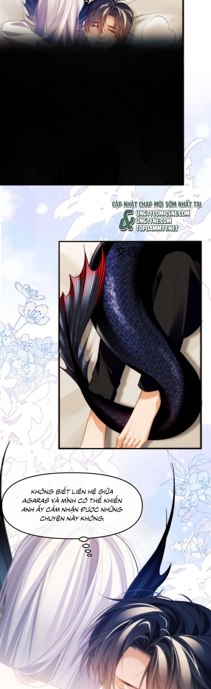 Desharow Nhân Ngư Chapter 81 - 2