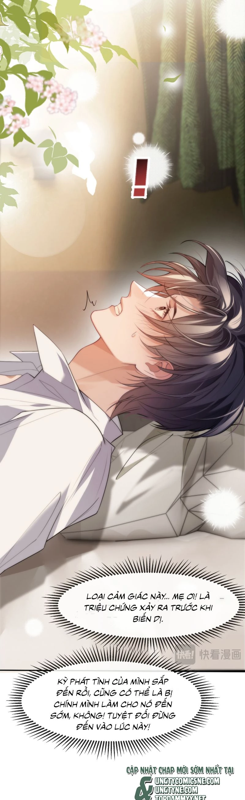 Desharow Nhân Ngư Chapter 81 - 5