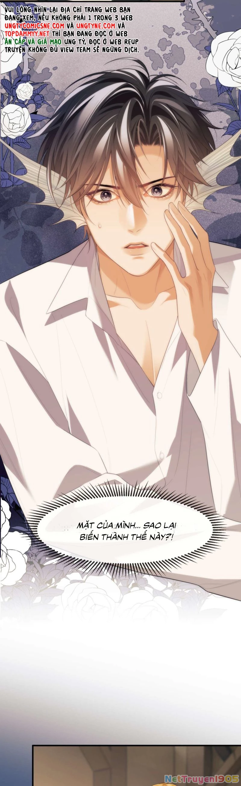 Desharow Nhân Ngư Chapter 81 - 11