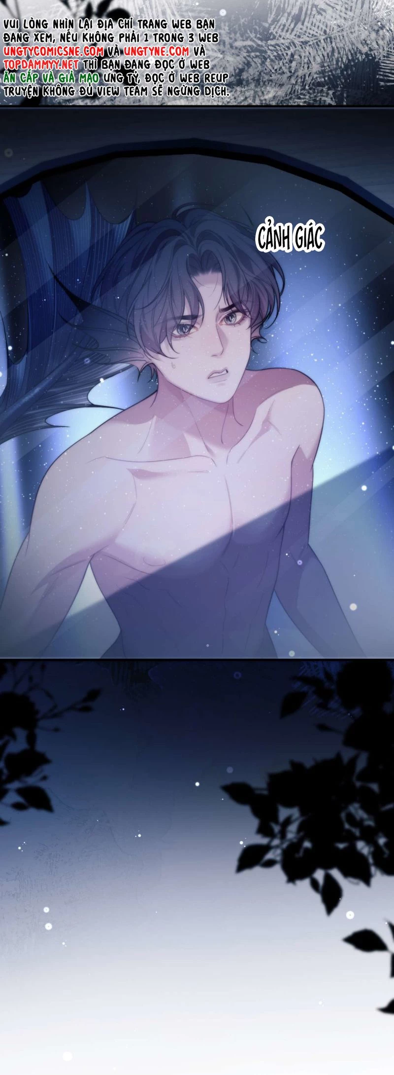 Desharow Nhân Ngư Chapter 81 - 23