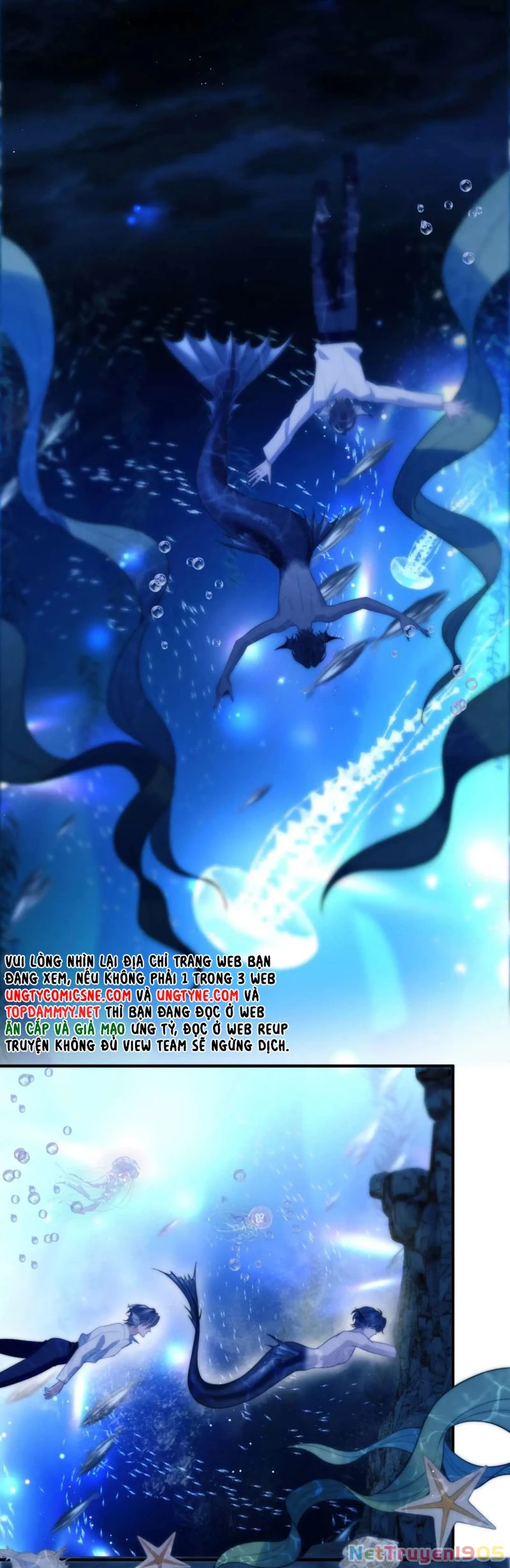 Desharow Nhân Ngư Chapter 82 - 11