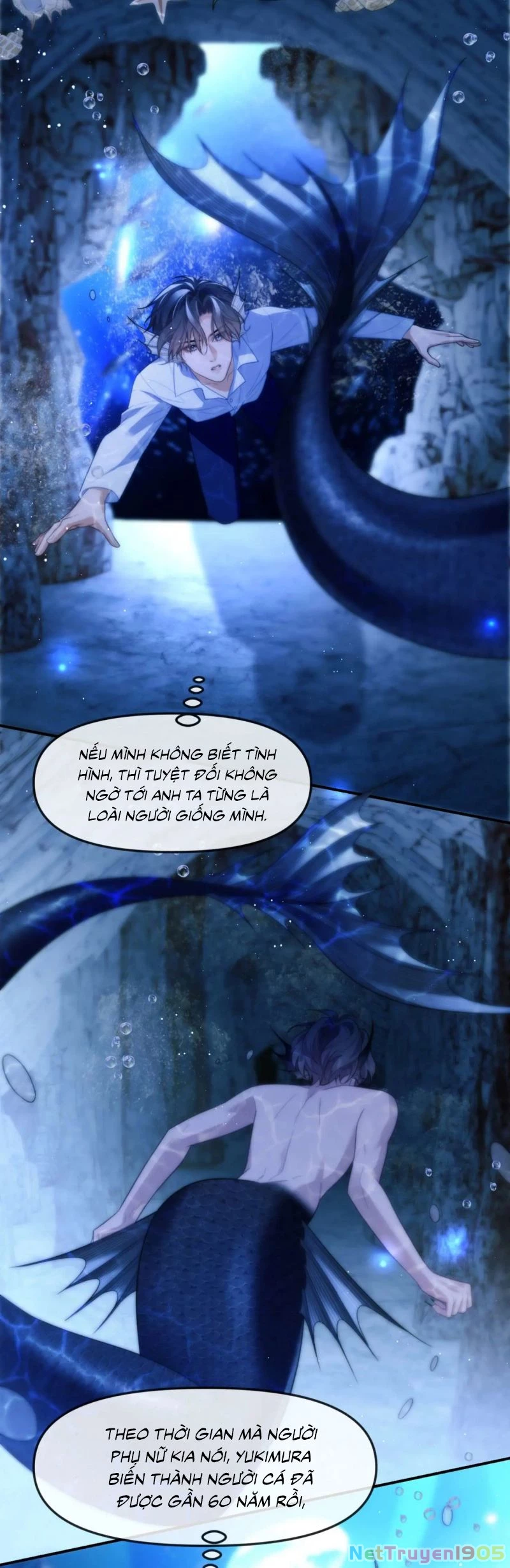 Desharow Nhân Ngư Chapter 82 - 12