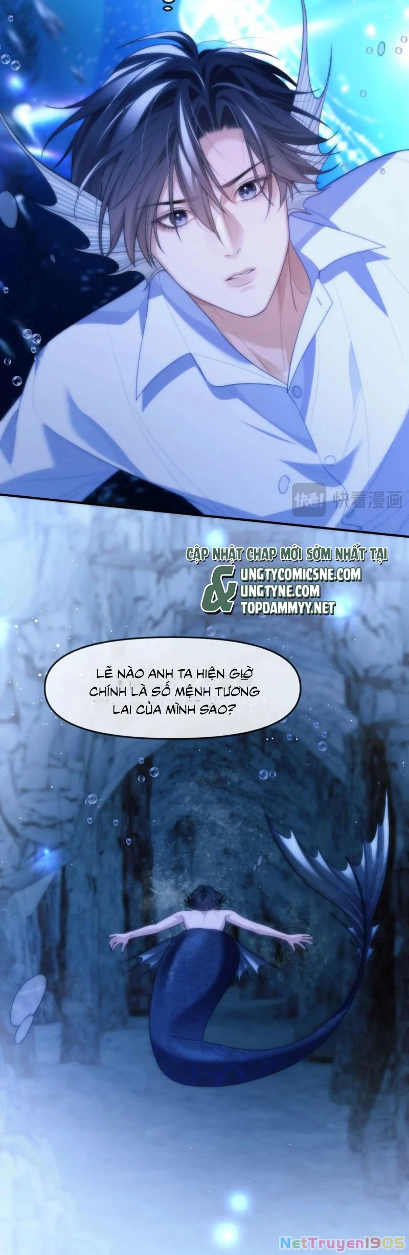 Desharow Nhân Ngư Chapter 82 - 13