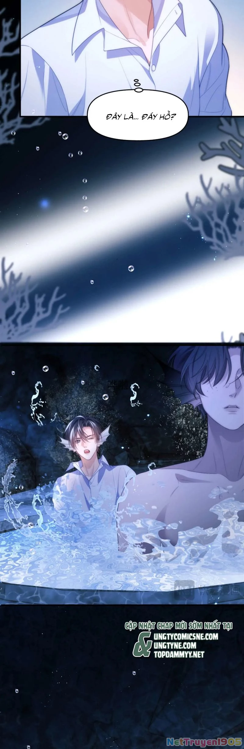 Desharow Nhân Ngư Chapter 82 - 16
