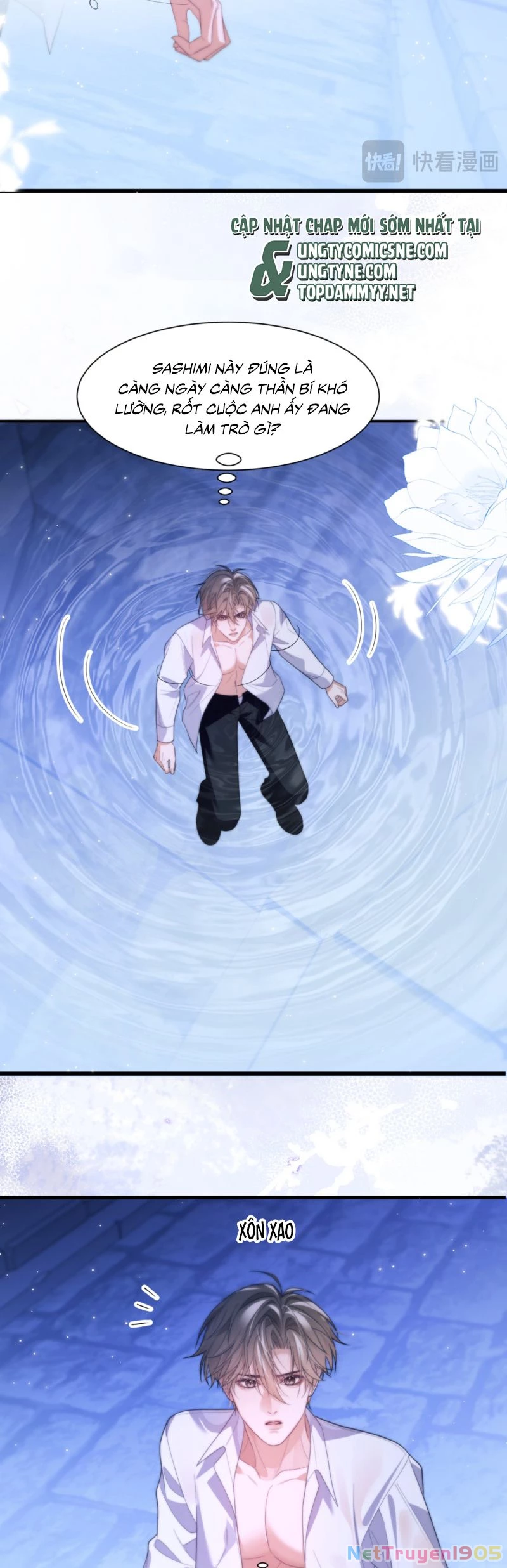 Desharow Nhân Ngư Chapter 87 - 8