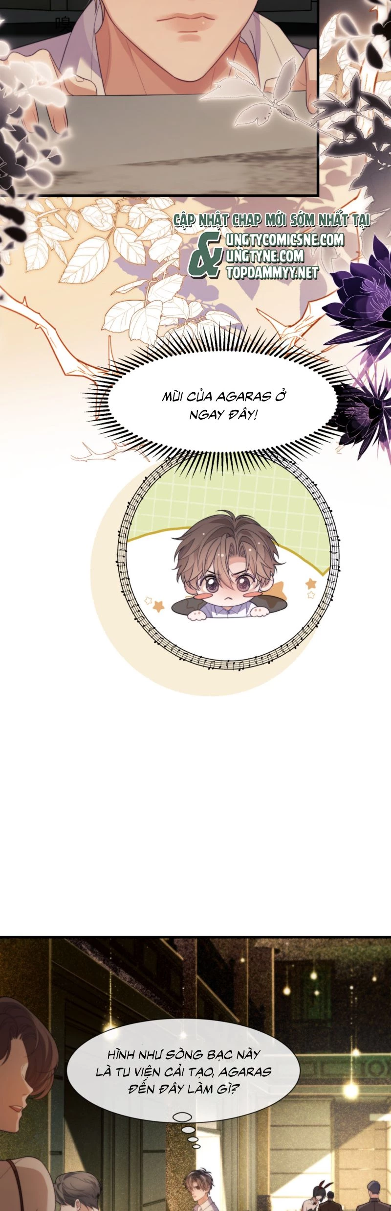 Desharow Nhân Ngư Chapter 87 - 11