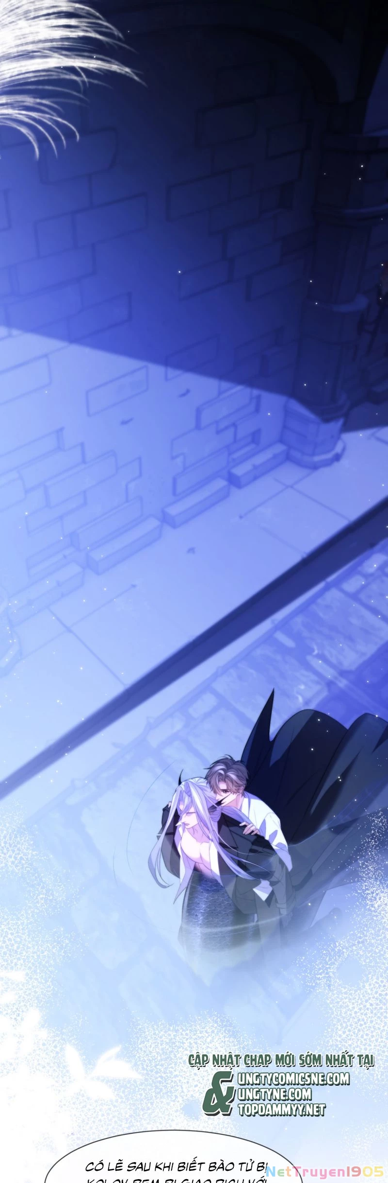 Desharow Nhân Ngư Chapter 89 - 8