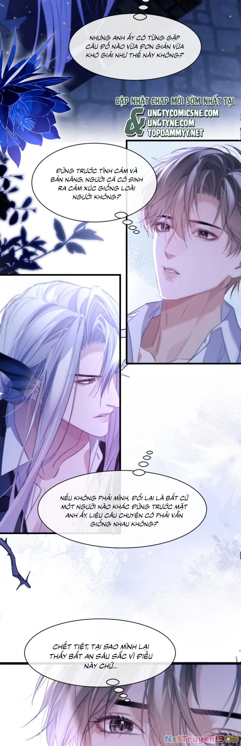 Desharow Nhân Ngư Chapter 90 - 2