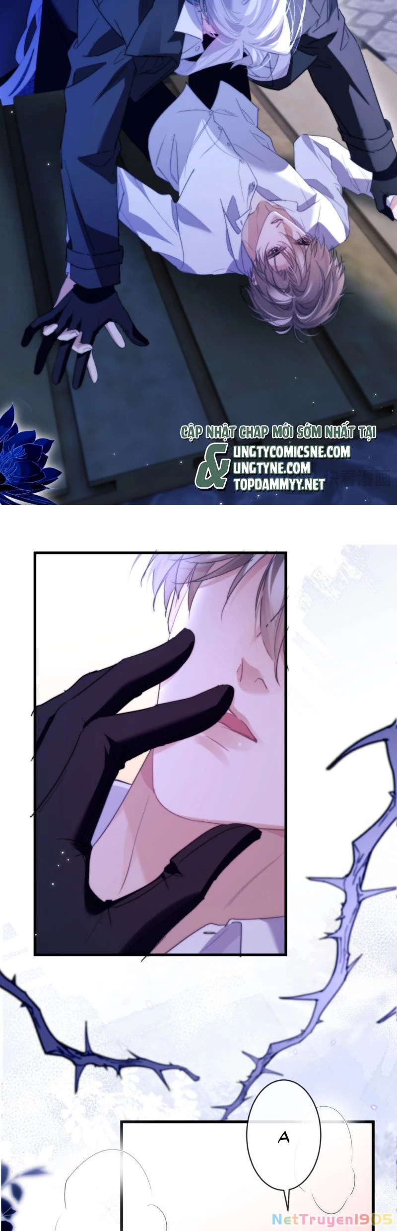 Desharow Nhân Ngư Chapter 90 - 5