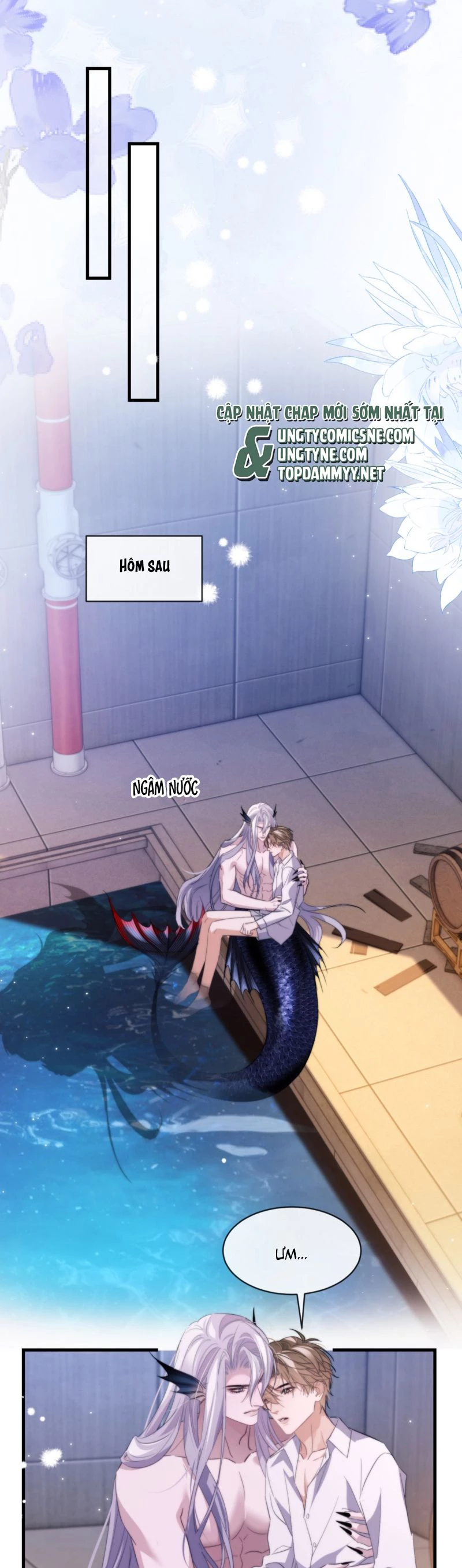 Desharow Nhân Ngư Chapter 91 - 8