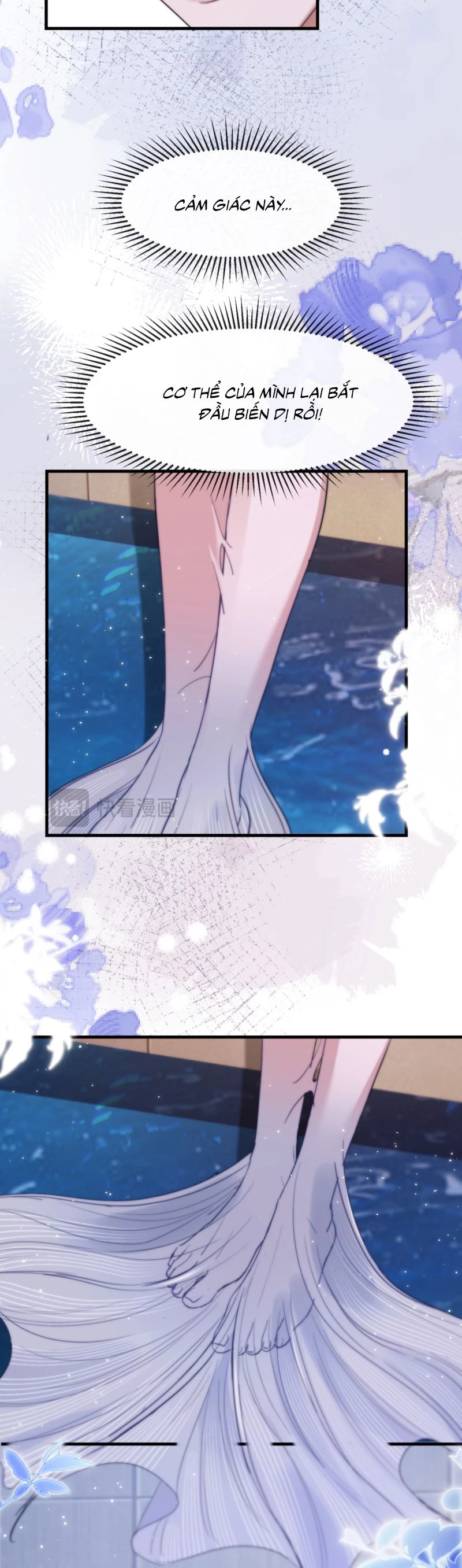 Desharow Nhân Ngư Chapter 91 - 10