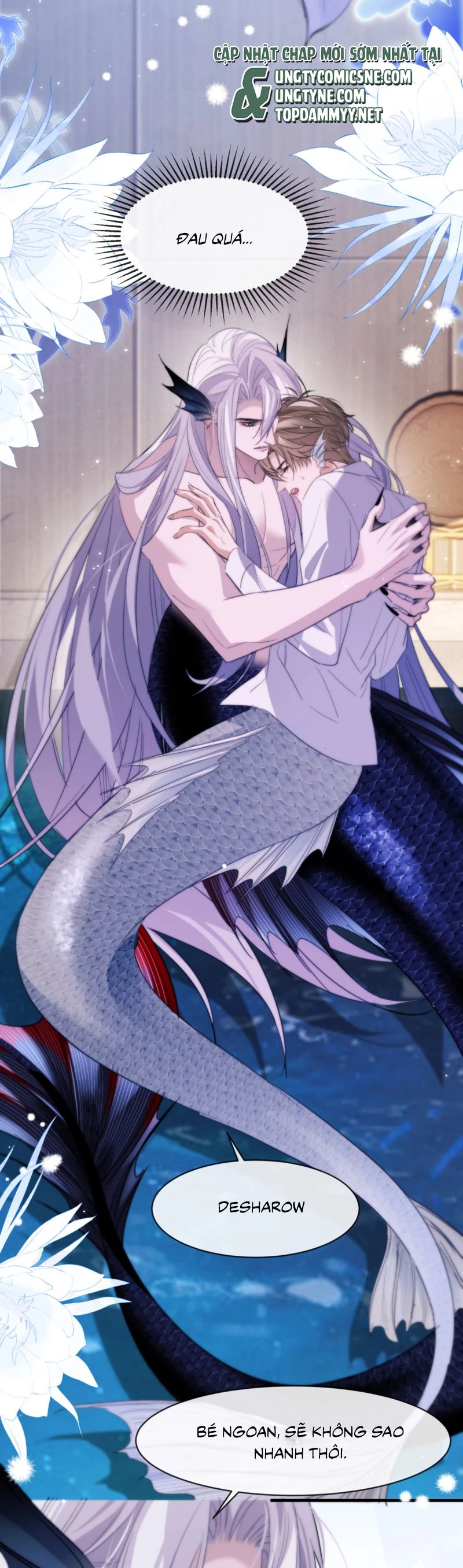 Desharow Nhân Ngư Chapter 91 - 11