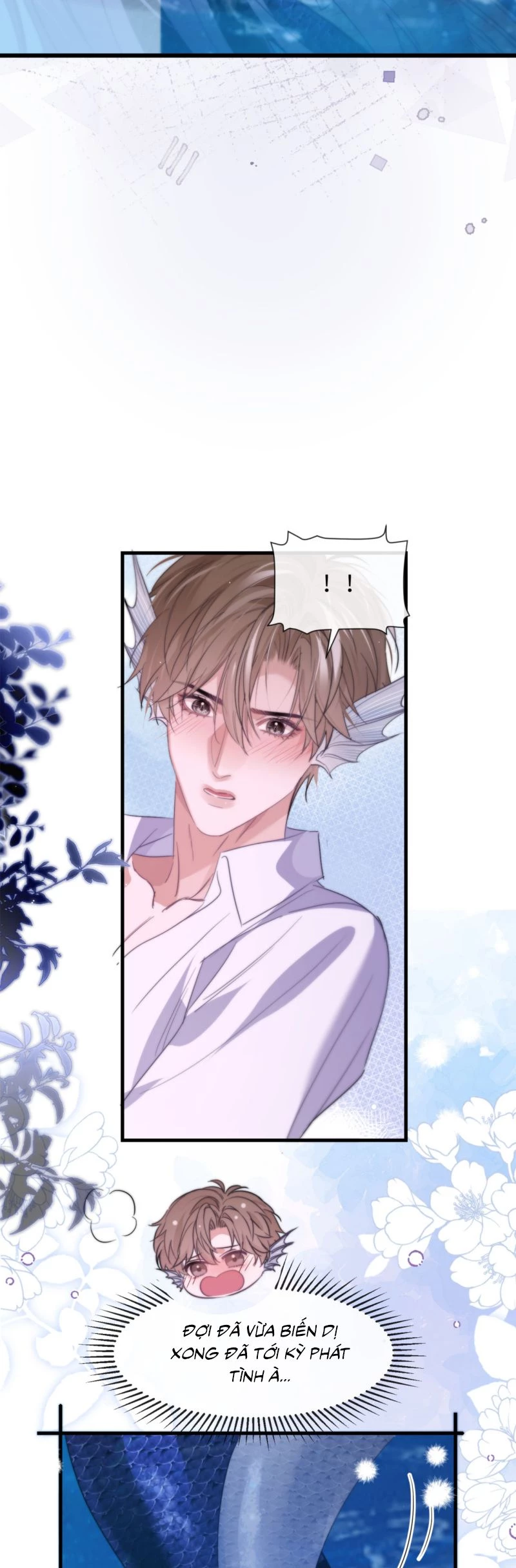 Desharow Nhân Ngư Chapter 91 - 13