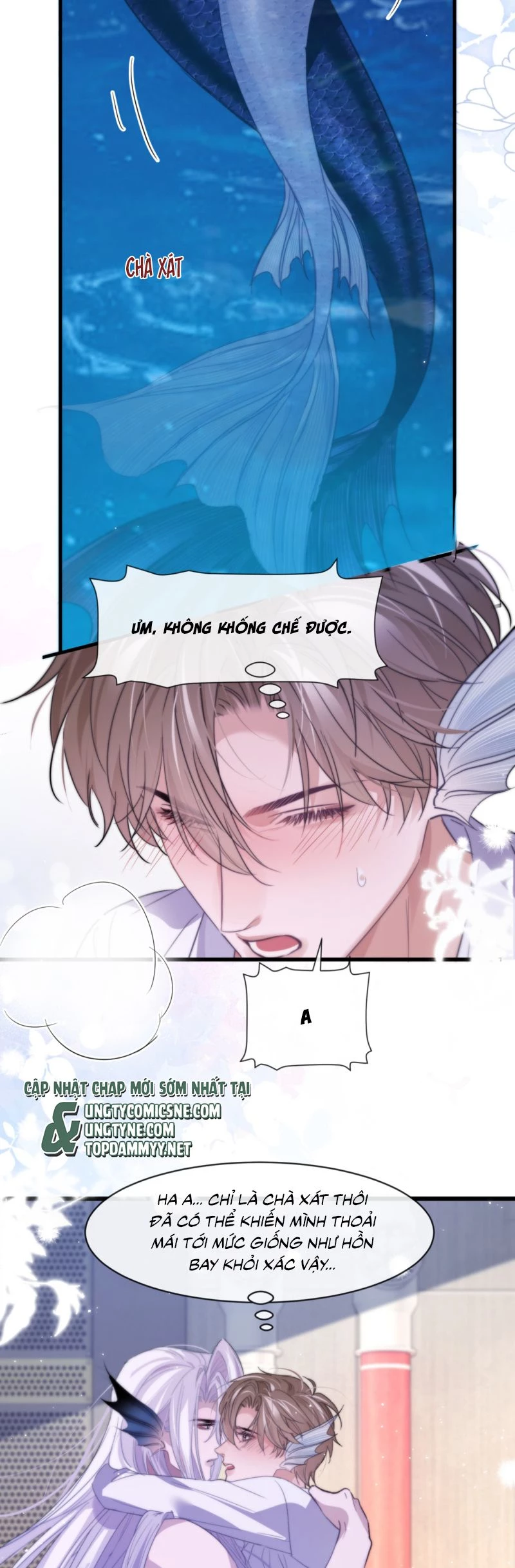 Desharow Nhân Ngư Chapter 91 - 14