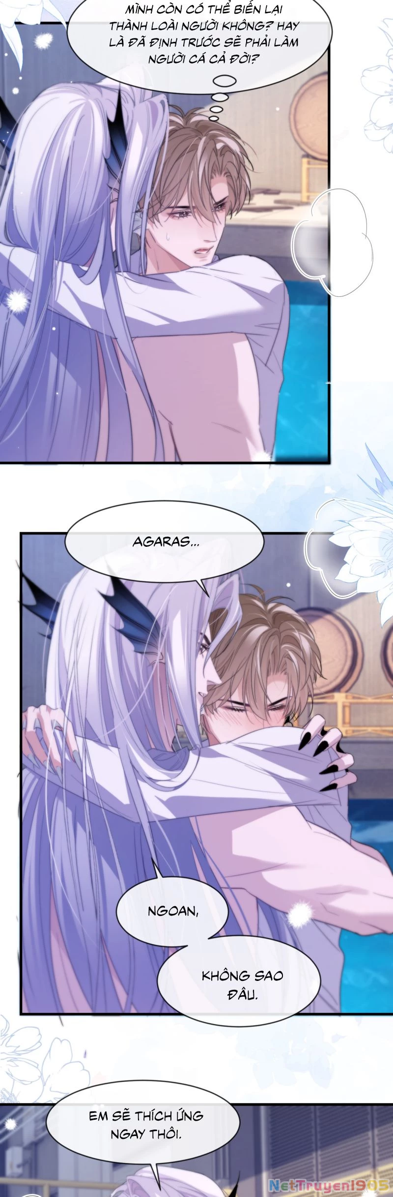 Desharow Nhân Ngư Chapter 91 - 16