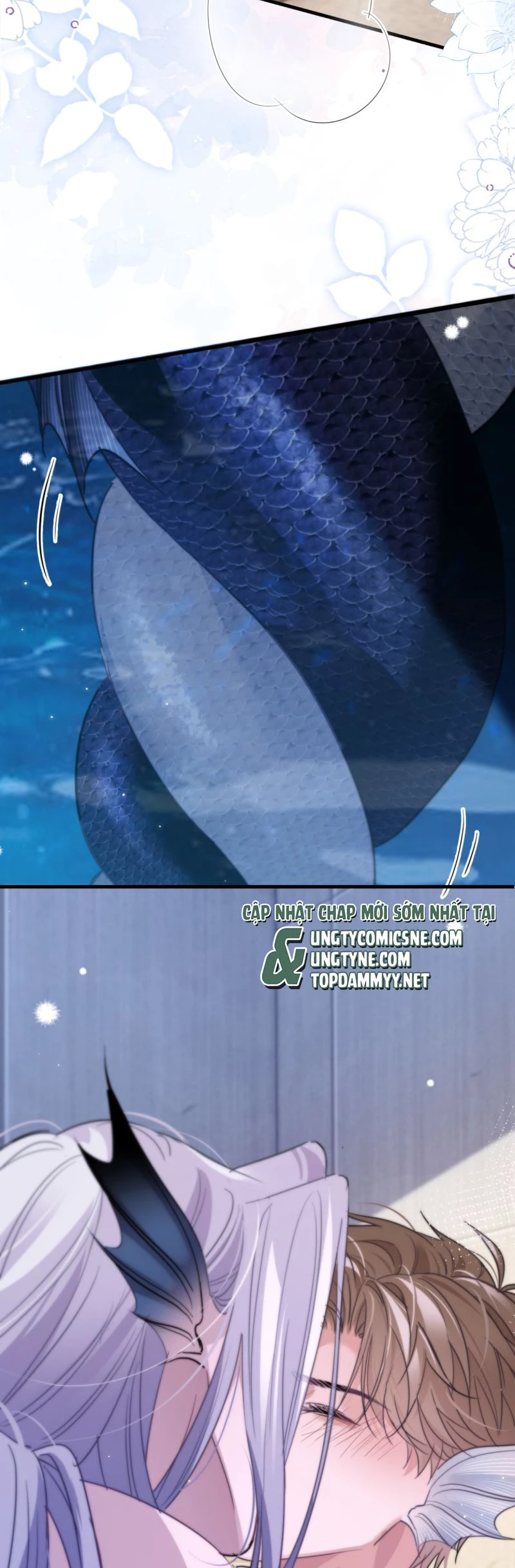 Desharow Nhân Ngư Chapter 91 - 22