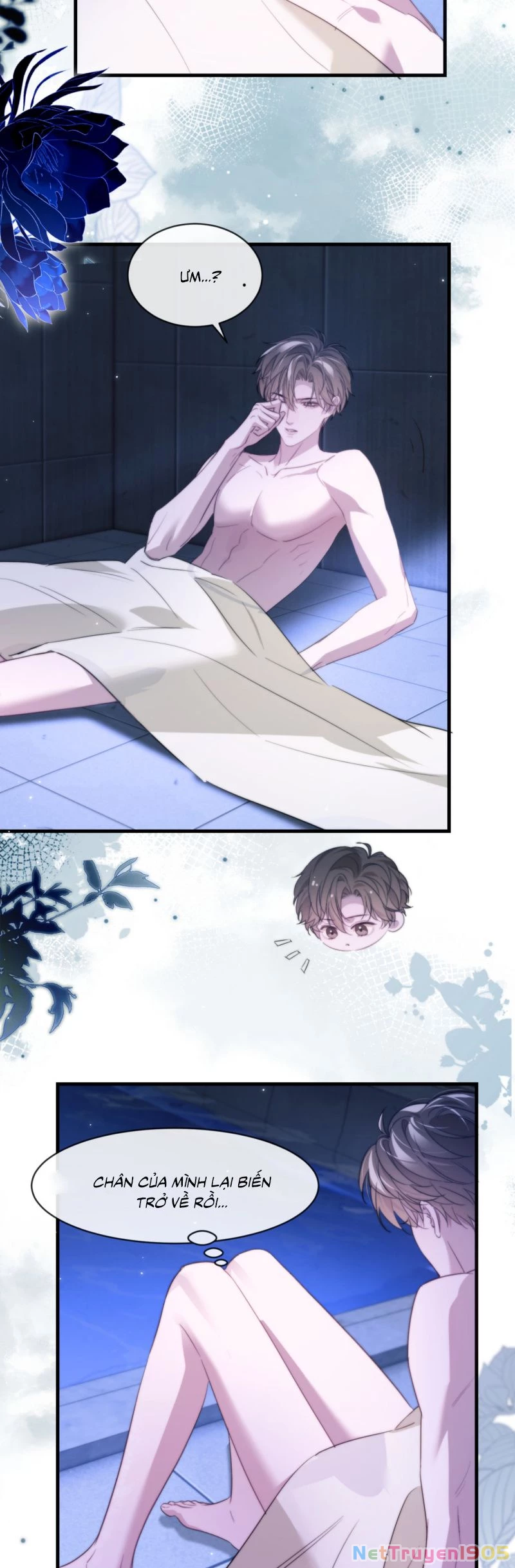 Desharow Nhân Ngư Chapter 92 - 4