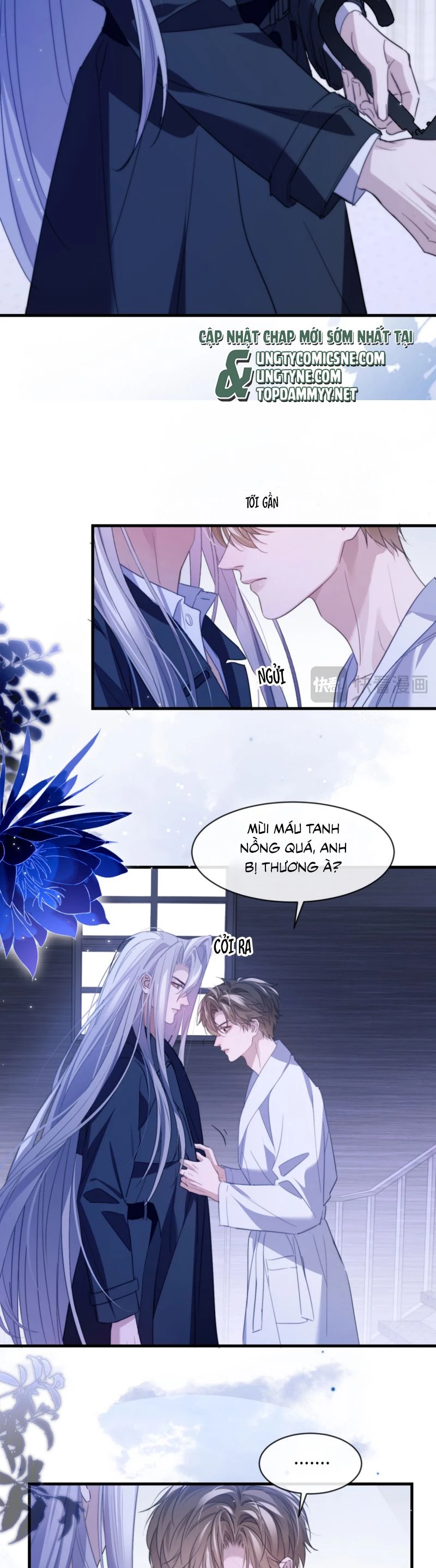 Desharow Nhân Ngư Chapter 92 - 17