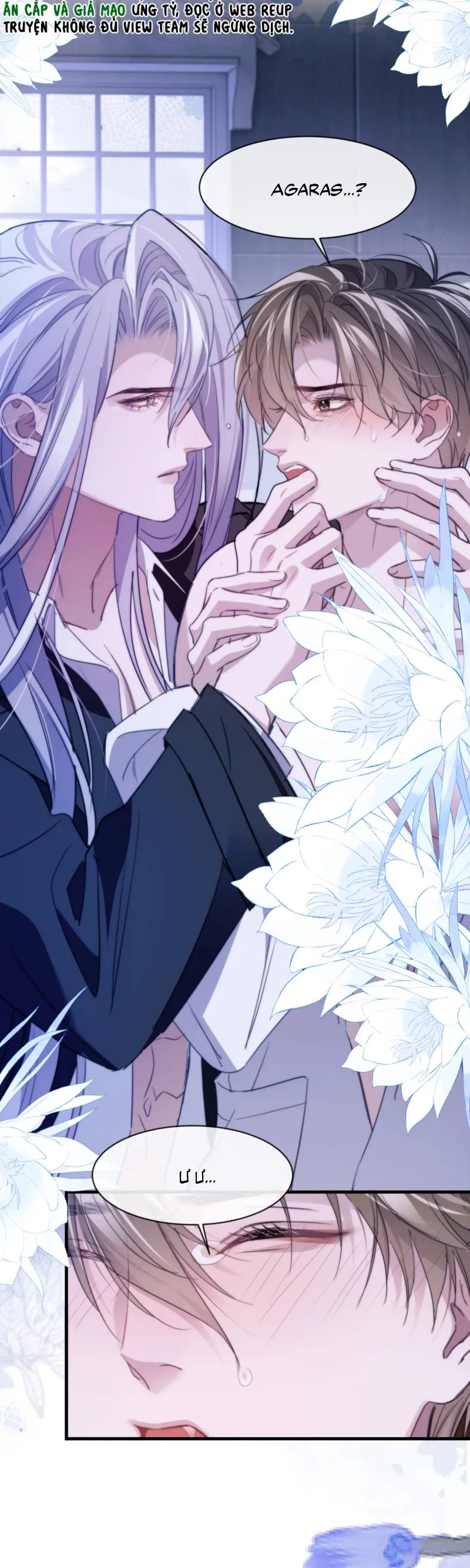 Desharow Nhân Ngư Chapter 94 - 10