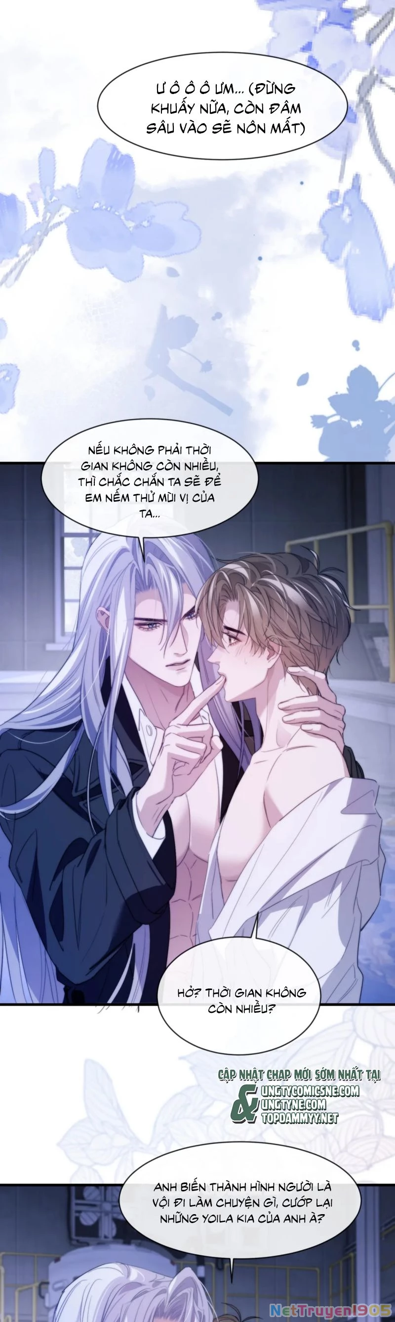 Desharow Nhân Ngư Chapter 94 - 11