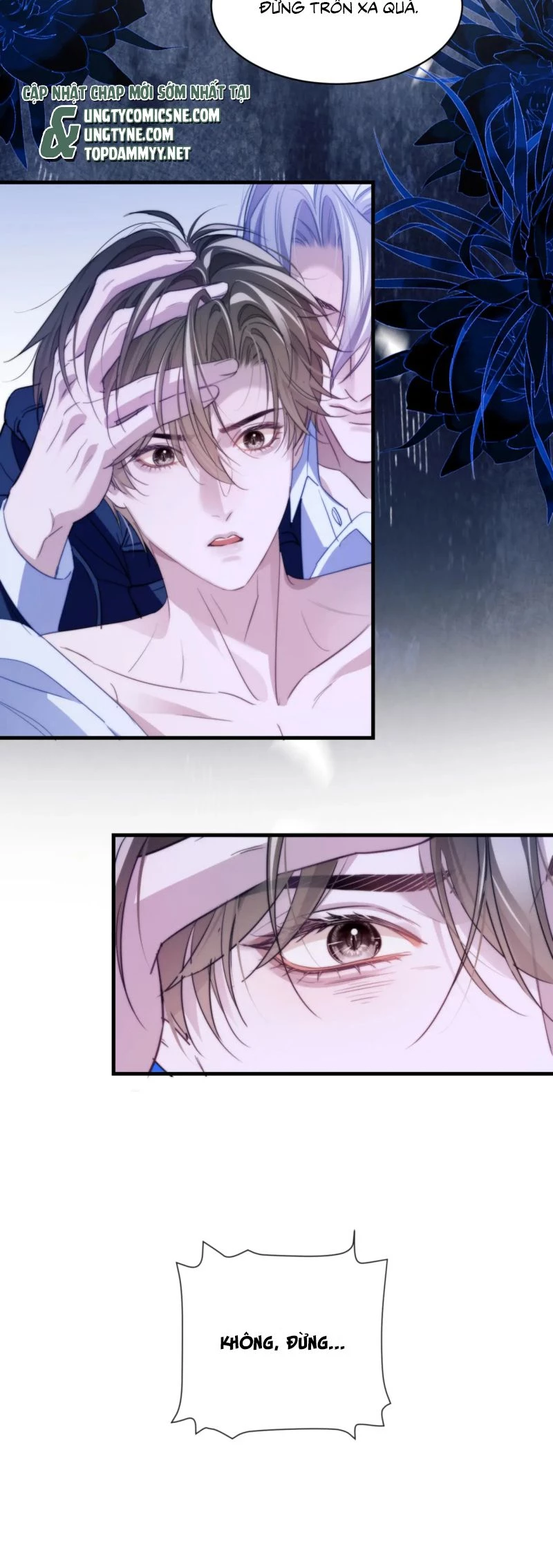 Desharow Nhân Ngư Chapter 95 - 10