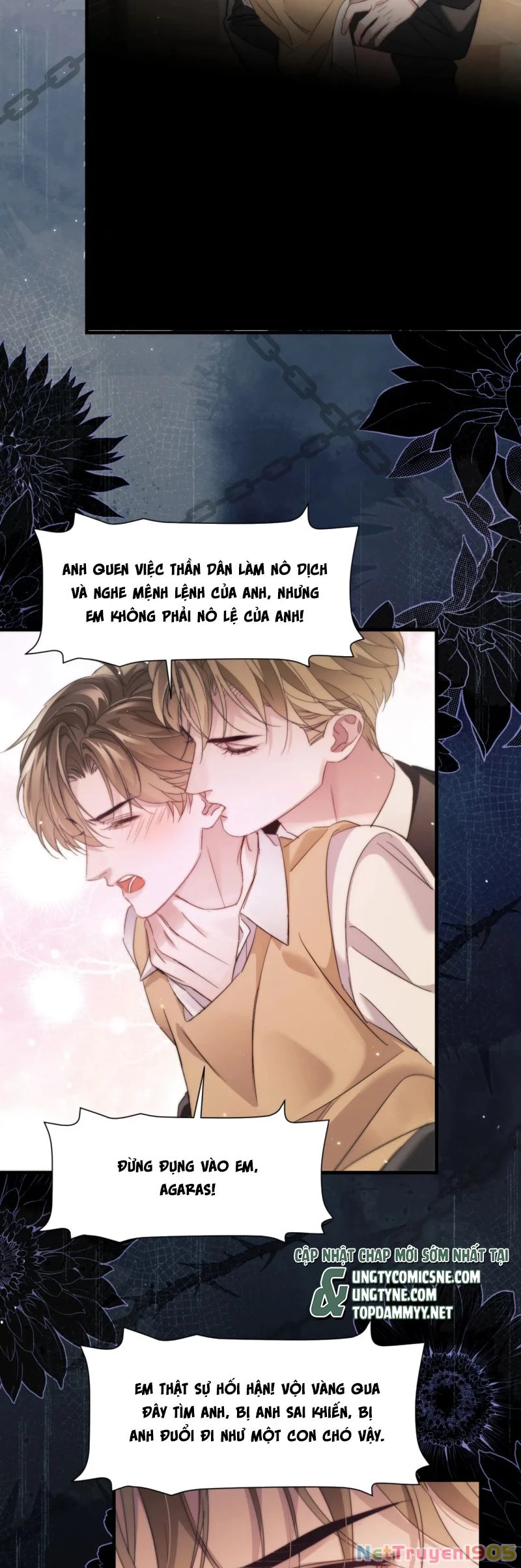 Desharow Nhân Ngư Chapter 98 - 10