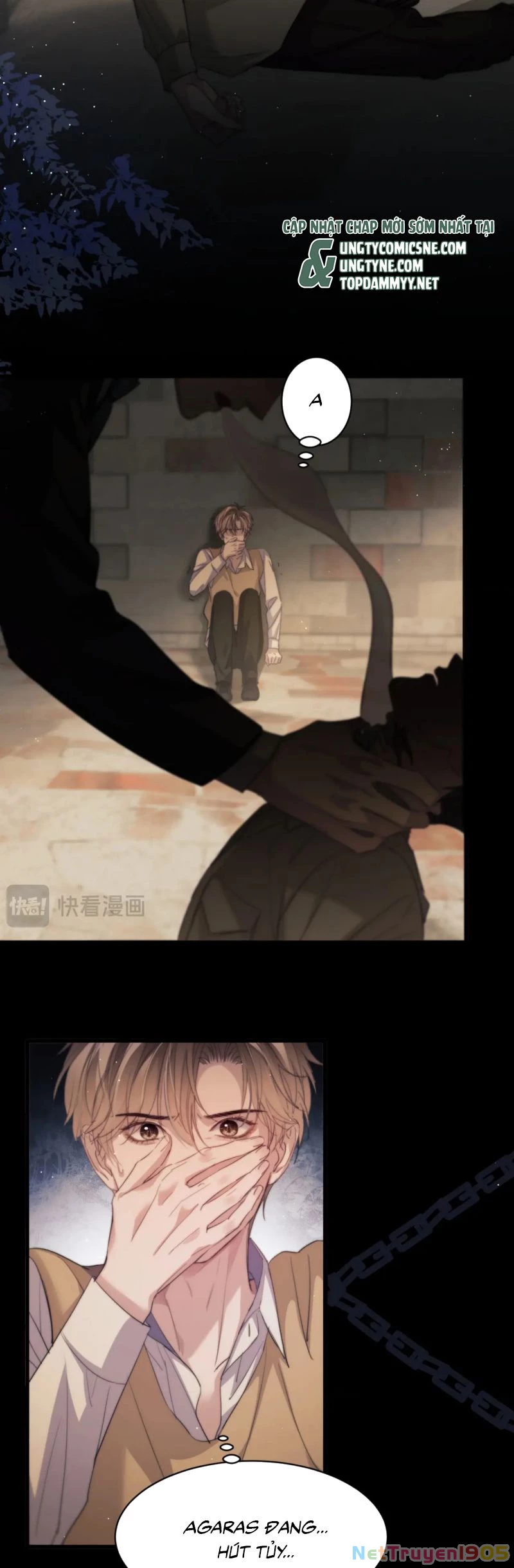 Desharow Nhân Ngư Chapter 99 - 8