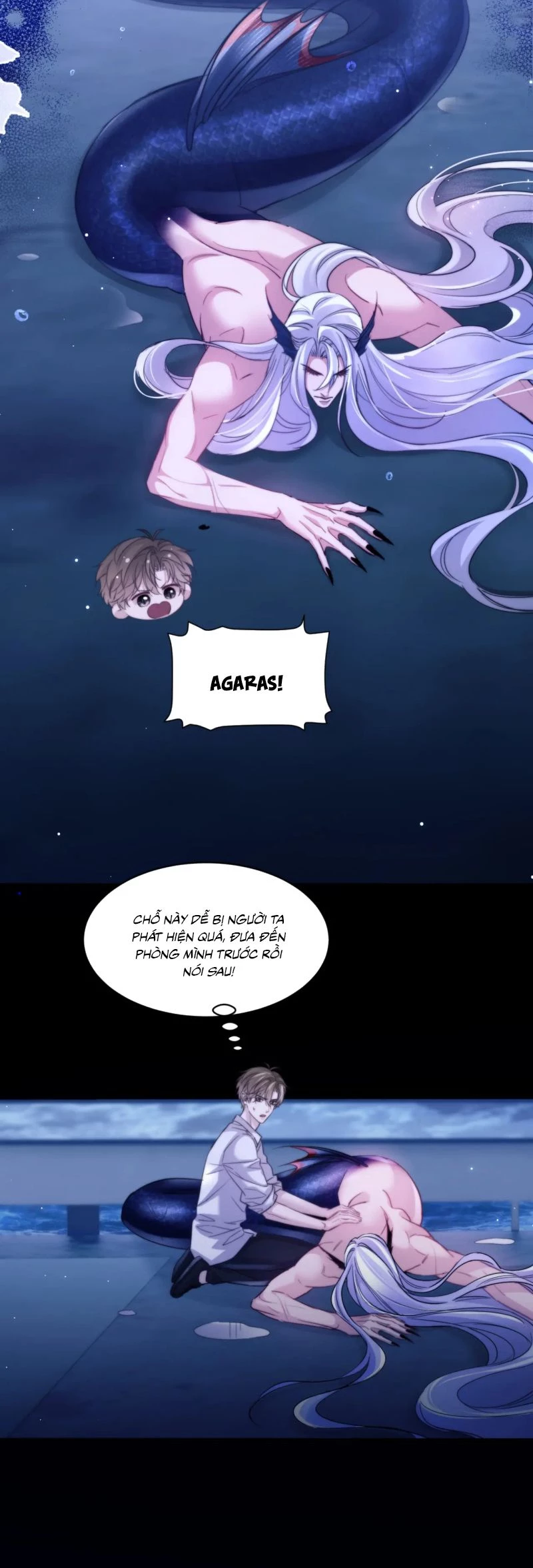 Desharow Nhân Ngư Chapter 100 - 16