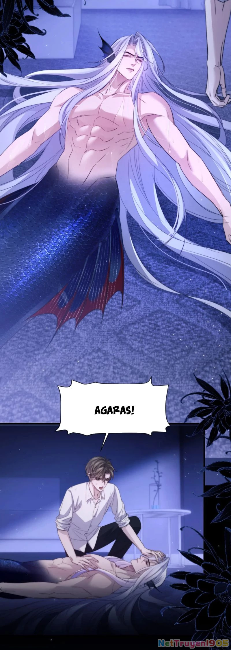 Desharow Nhân Ngư Chapter 101 - 2