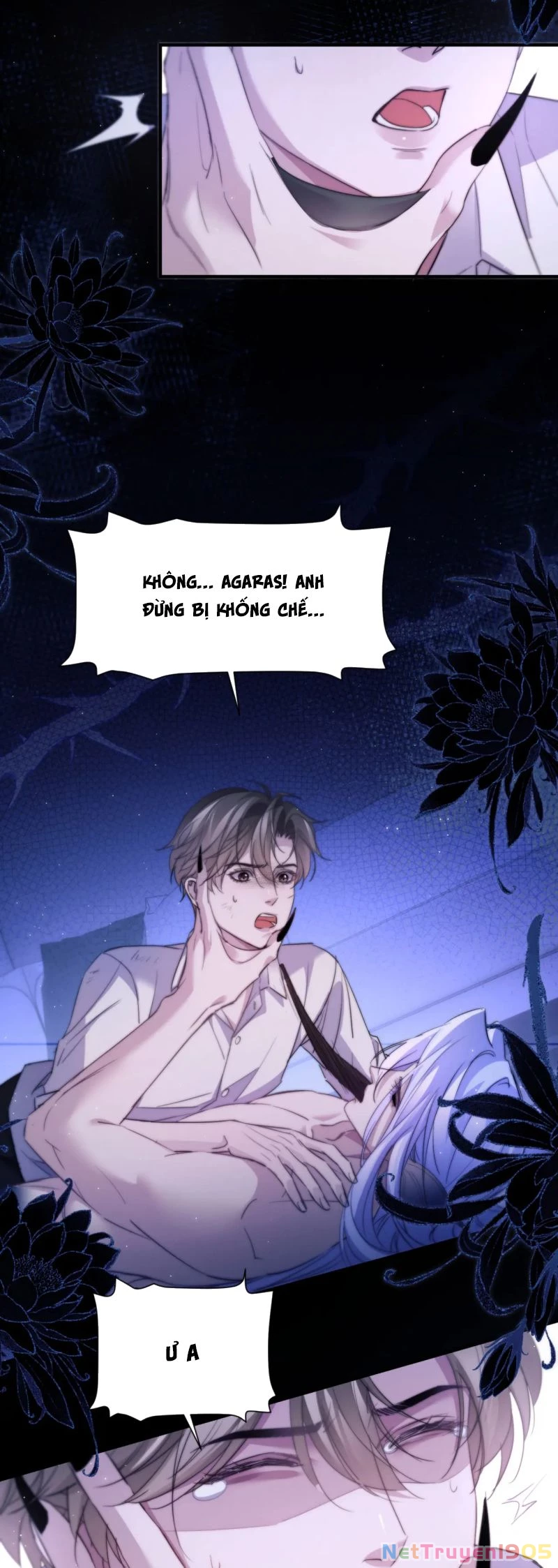 Desharow Nhân Ngư Chapter 101 - 8