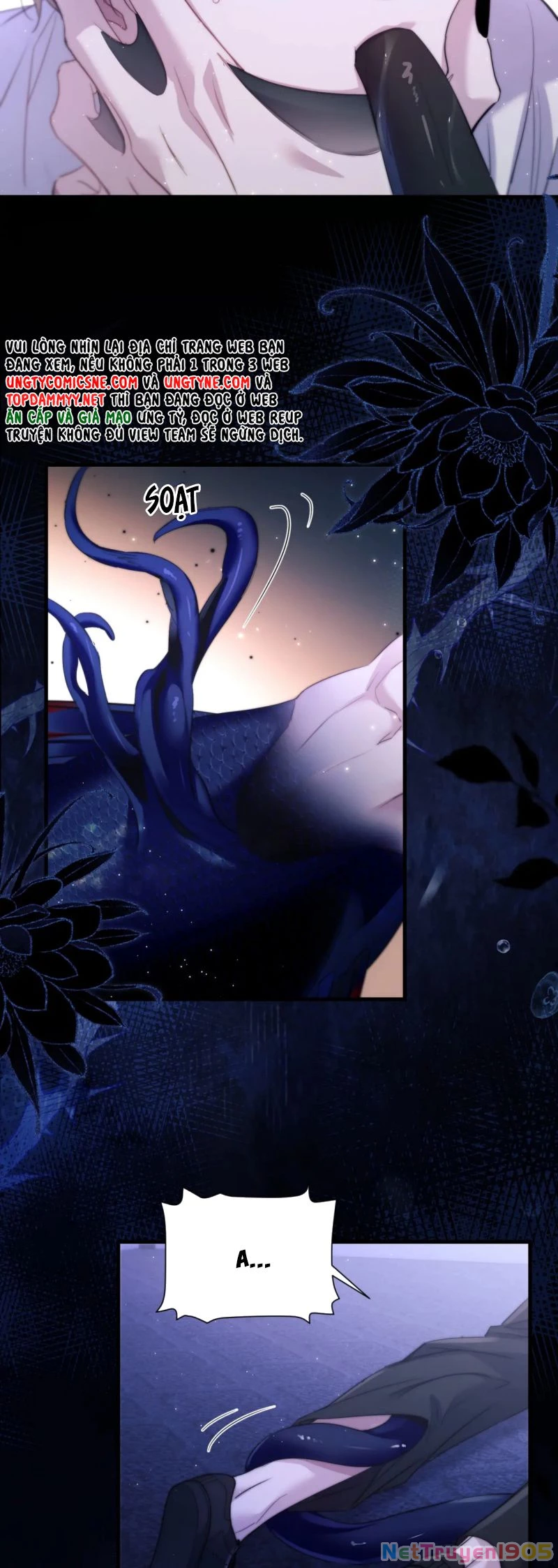 Desharow Nhân Ngư Chapter 101 - 9