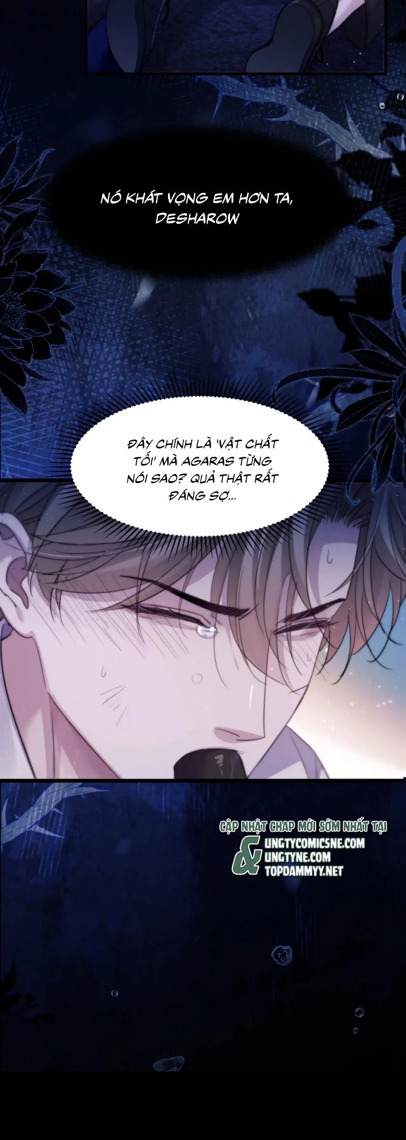 Desharow Nhân Ngư Chapter 101 - 10