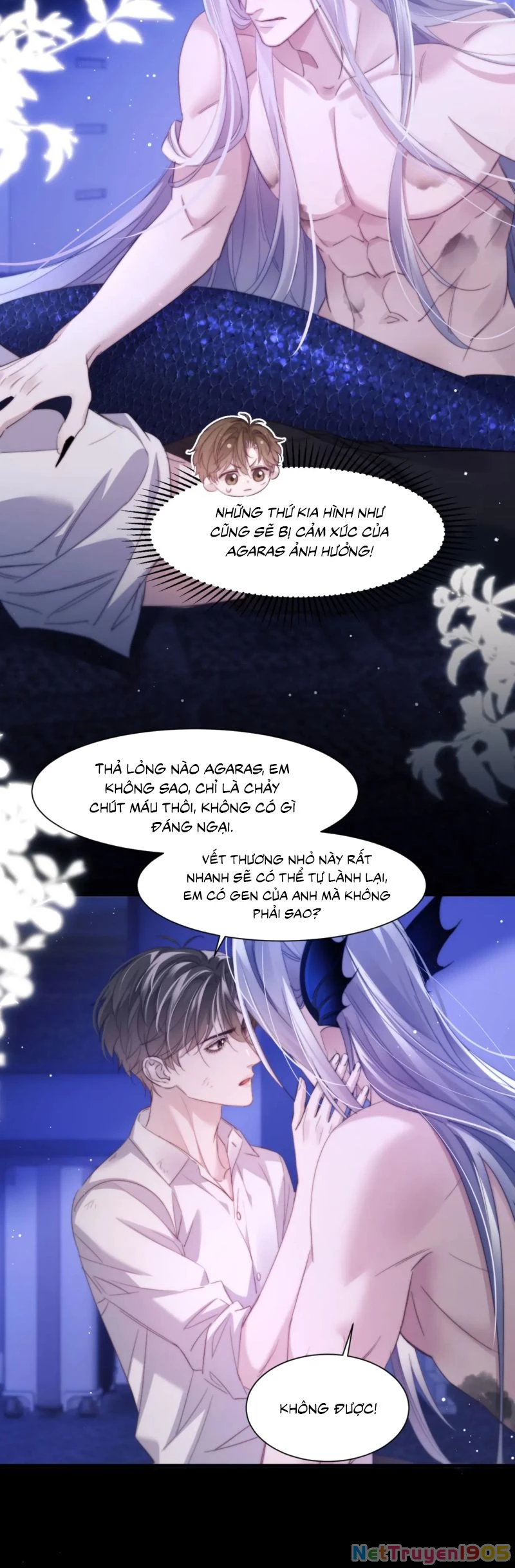 Desharow Nhân Ngư Chapter 102 - 6