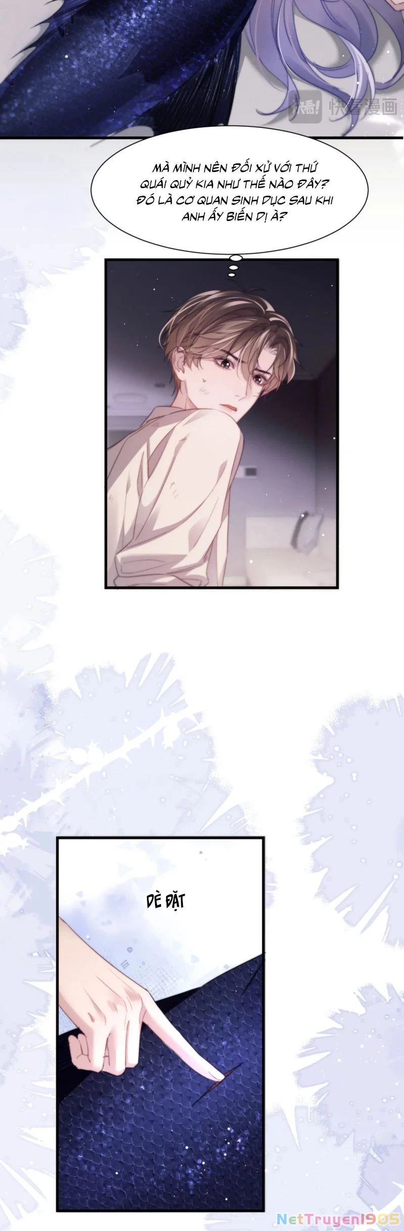 Desharow Nhân Ngư Chapter 102 - 8