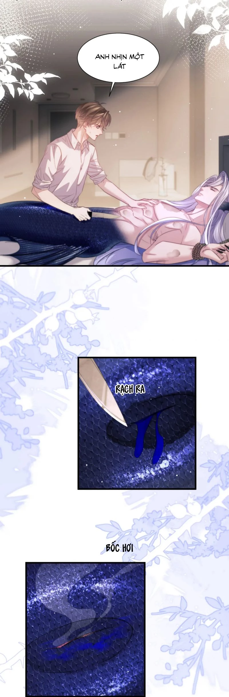 Desharow Nhân Ngư Chapter 102 - 12