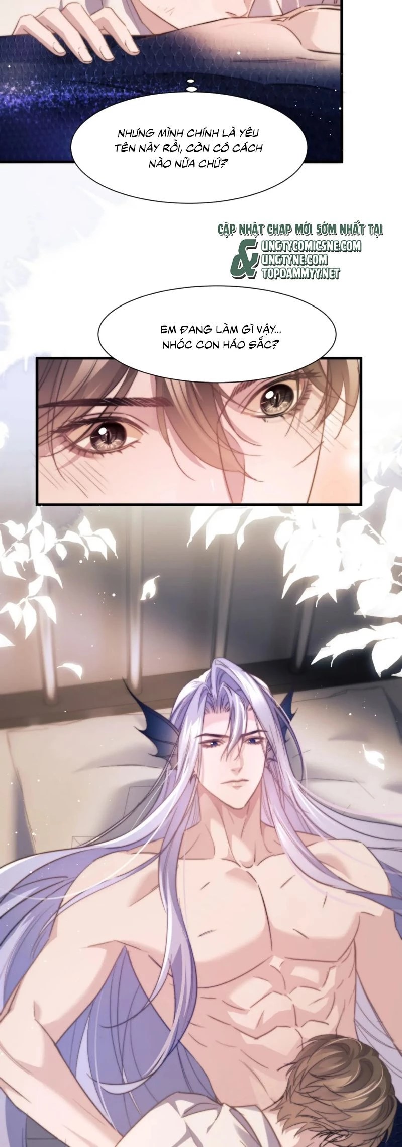 Desharow Nhân Ngư Chapter 102 - 16